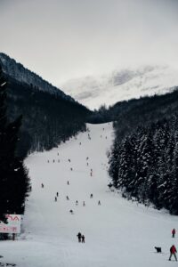 Scenic view of skiers gliding down a tree-lined slope.