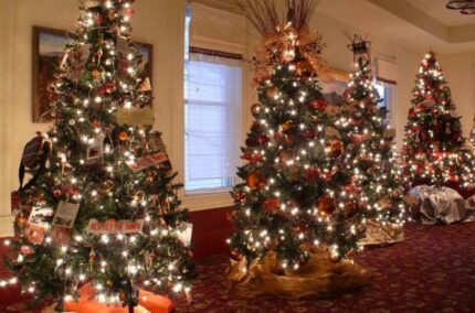 Four decorated Christmas trees