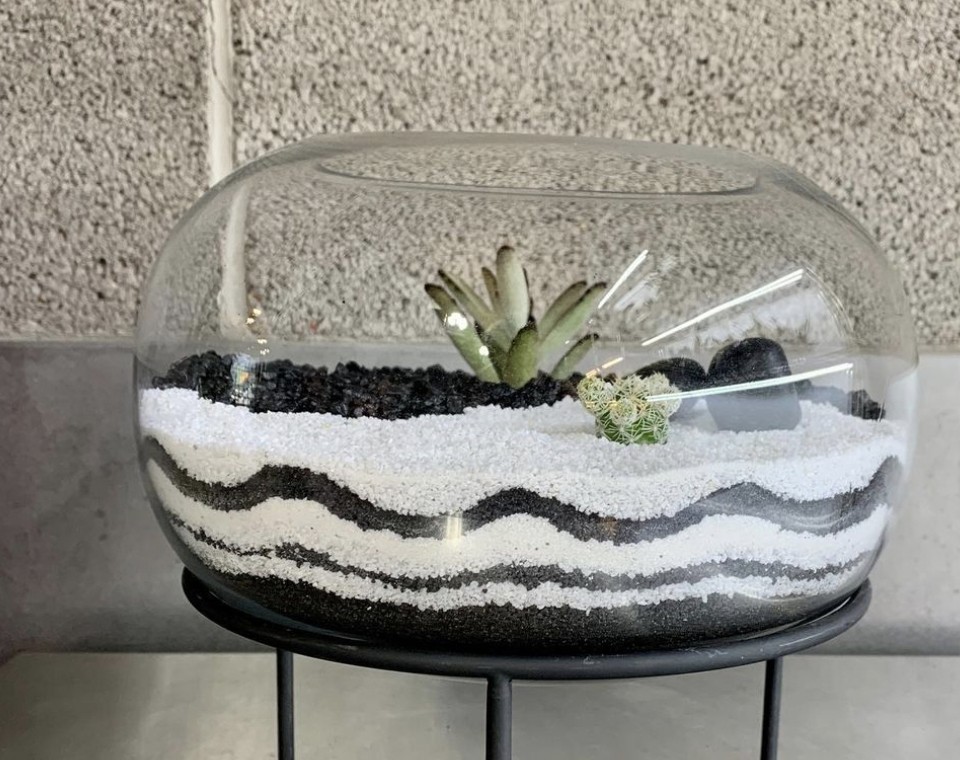 Two succulents in a glass bowl with pebble artwork