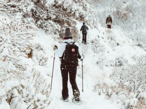 How to Plan Your Next Snowshoeing Expedition in Colorado