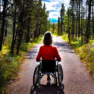 A woman in a wheelchair exploring a hiking trail