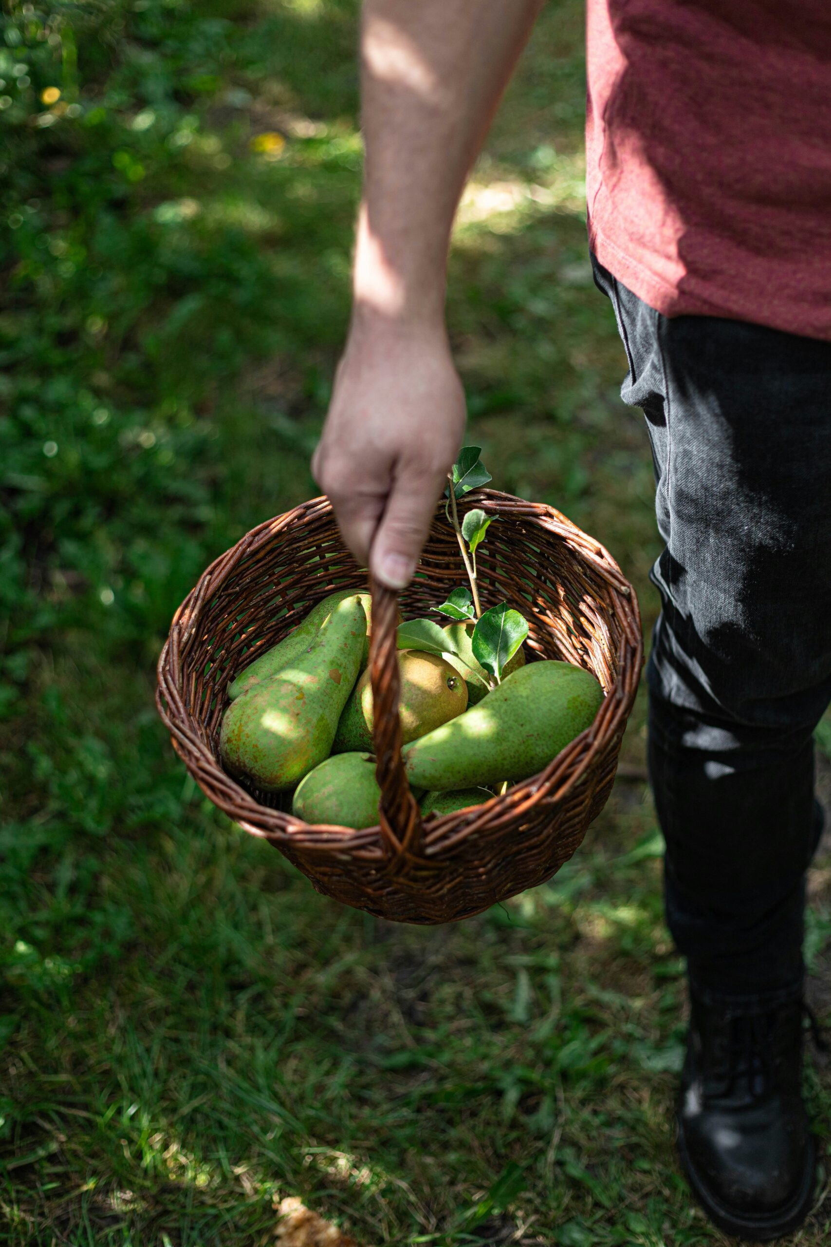 A man holding a wicker basket full of fruit