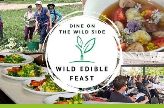 Text reads: Dine on the wild side, Wild Edible Feast. Images of foraged food and people outside.