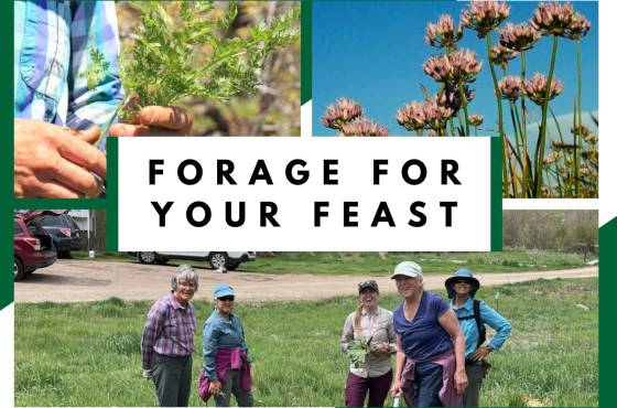 Text reads: Forage for Your Feast. Images of people foraging outdoors.