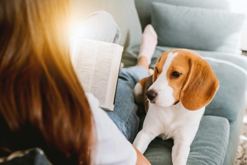 A girl reading a book to a dog