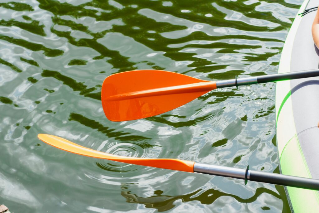 Two kayak paddles skimming the river water