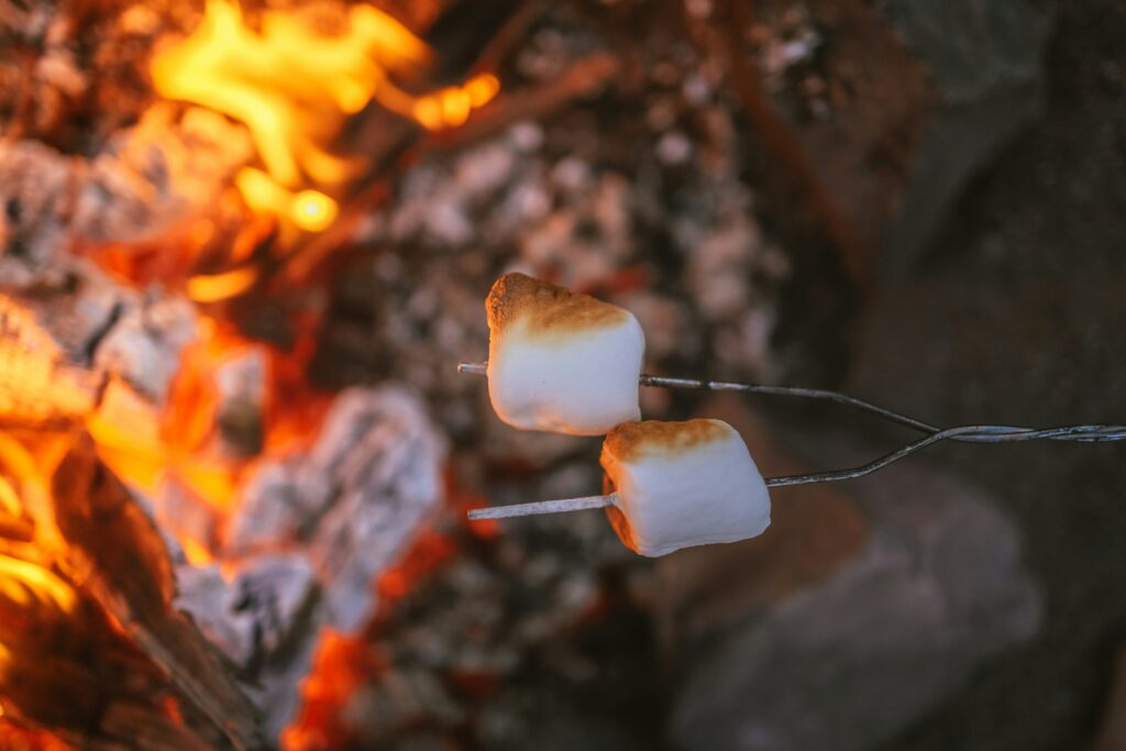 Roasting marshmallows on a fire