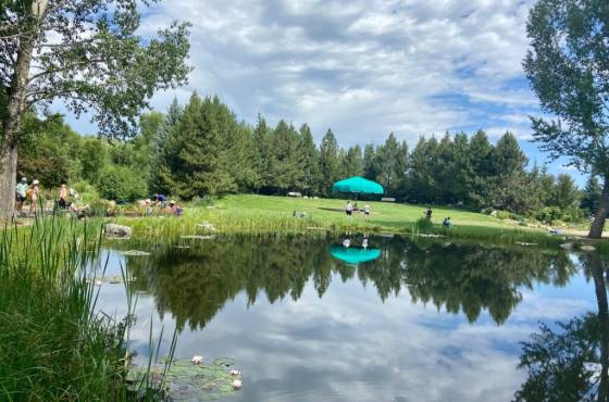 The Yampa River Botanic Park in the summer