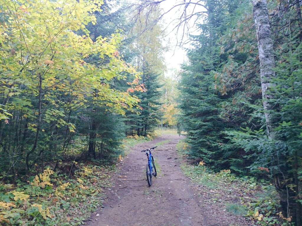 Lone blue bike in the middle of a trail for mountain biking in Steamboat Springs