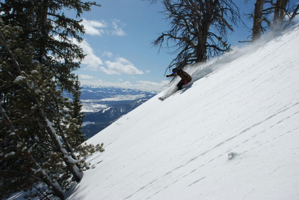 Solo skiier going down a tree lined trail