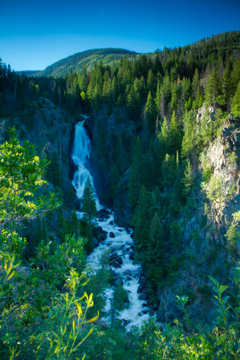 Fish Creek Falls, view of the waterfall surrounded by green pine trees. 