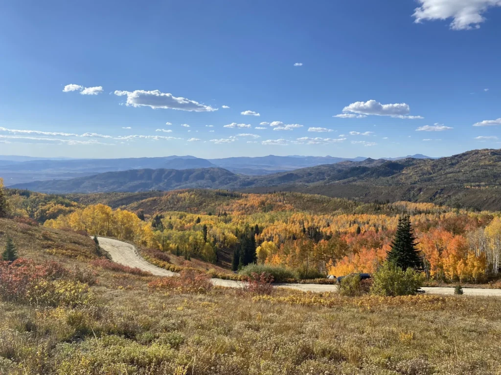 View from the top of the Flash of Gold Trail in Buffalo Pass. Golden aspens surround the trail with mountain peaks are visible in the distance. 