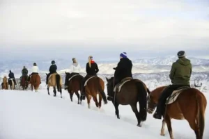 A line of a group of people riding horses on the snow covered trails. 