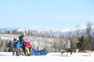 A family riding a do sled through a snowy field