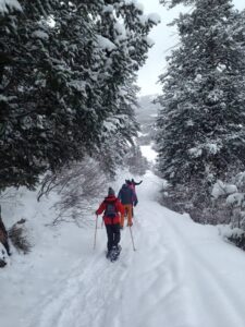 Snowshoeing couple in a forest trail. Snowshoeing is a popular winter activity in Steamboat Springs. 