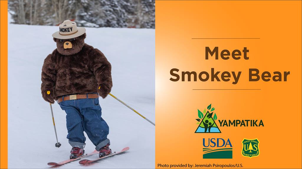 Smokey the Bear wearing a red plaid shirt and forest ranger hat, skiing down the mountain. 