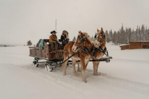 A classic winter activity in steamboat springs: a horse-drawn sleigh ride. 