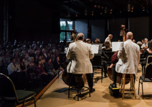 The back of string instrument performers during a concert, looking out into the crowd from onstage