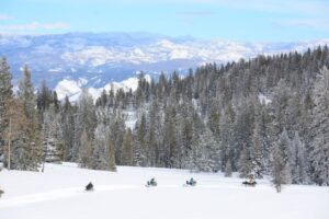 A group of snowmobilers riding through a snow covered forest as a fun winter activity