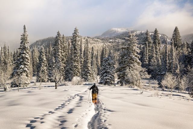 Person walking through deep snow on a mountain trail surrounded by pine trees