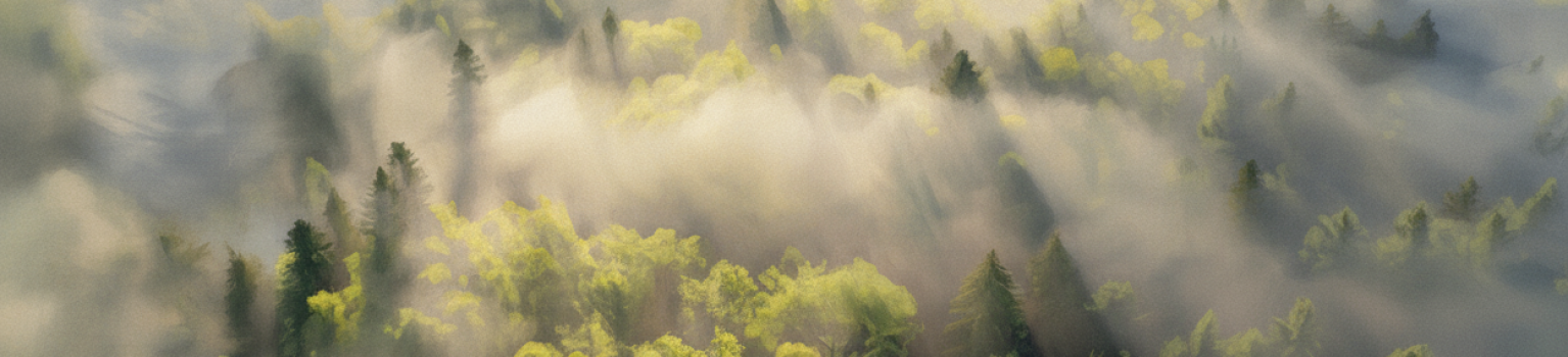 86a54356ffba4f42f77fbdff9295aba8636ea3b3