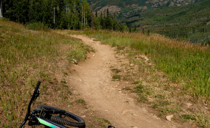 A bike laying on its side, overlooking a mountain biking trail in Steamboat Springs
