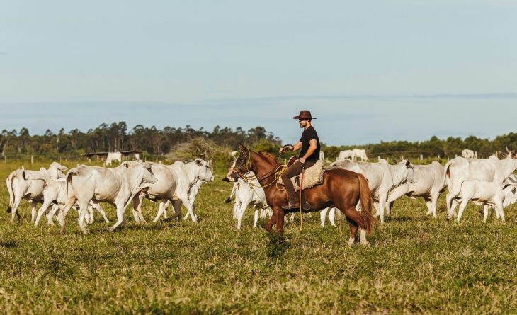 jsb-co-n4_P-t6QL60-unsplash