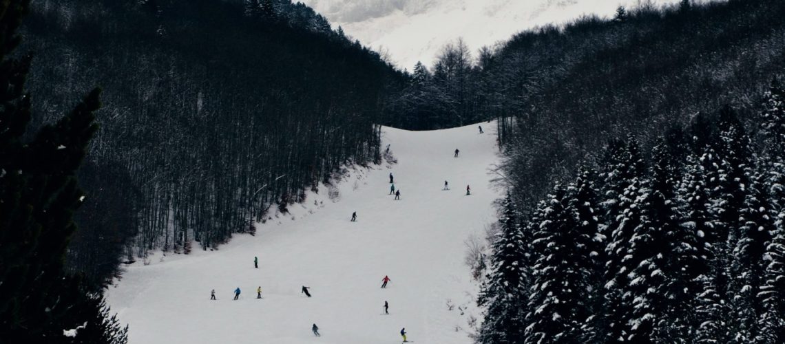 Scenic view of skiers gliding down a tree-lined slope.